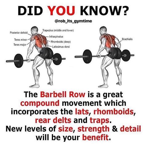 stronglifts barbell row|How to Do Barbell Rows: Muscles Worked & Proper Form .